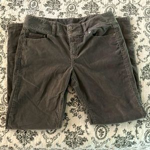 NWOT Victoria’s Secret London Jean double button corduroy bootcut pants.
